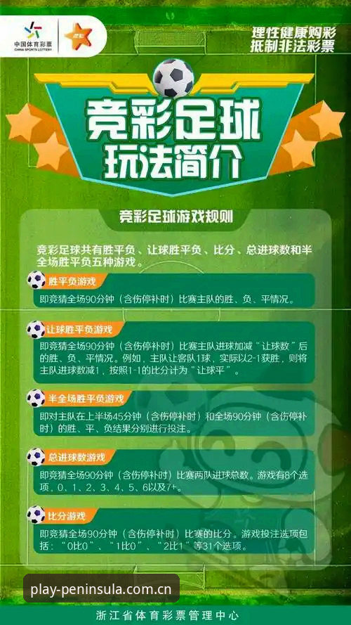 半岛体育综合使用指南：从下载到投注的完整操作手册